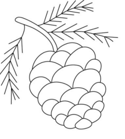 Trailhead Yarns - Embroidery Un-Kits