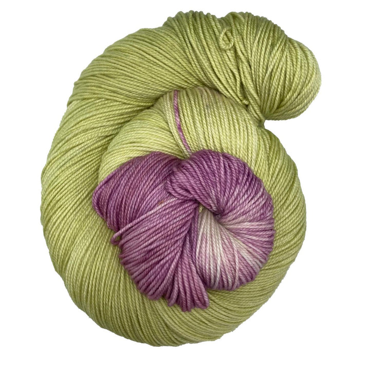 Wonderland Yarns Mad Hatter Color Burst