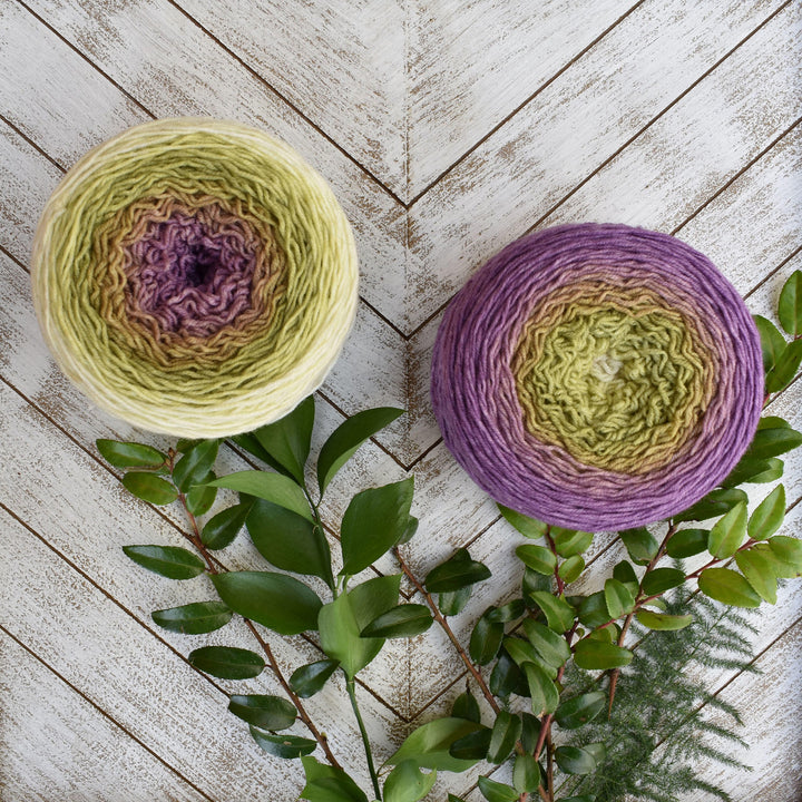 Wonderland Yarns Blossoms - Fingering wt