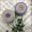 Wonderland Yarns Blossoms - Fingering wt