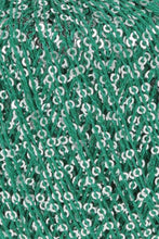 Load image into Gallery viewer, Lang Paillettes
