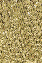Load image into Gallery viewer, Lang Paillettes

