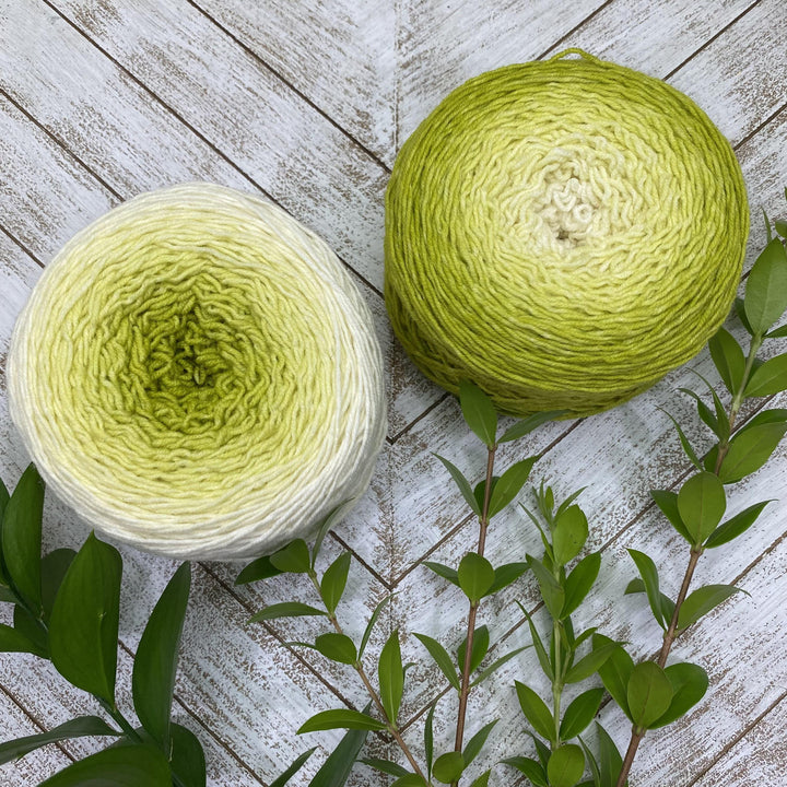 Wonderland Yarns Blossoms - Fingering wt