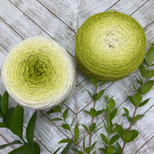 Load image into Gallery viewer, Wonderland Yarns Blossoms - Sport wt
